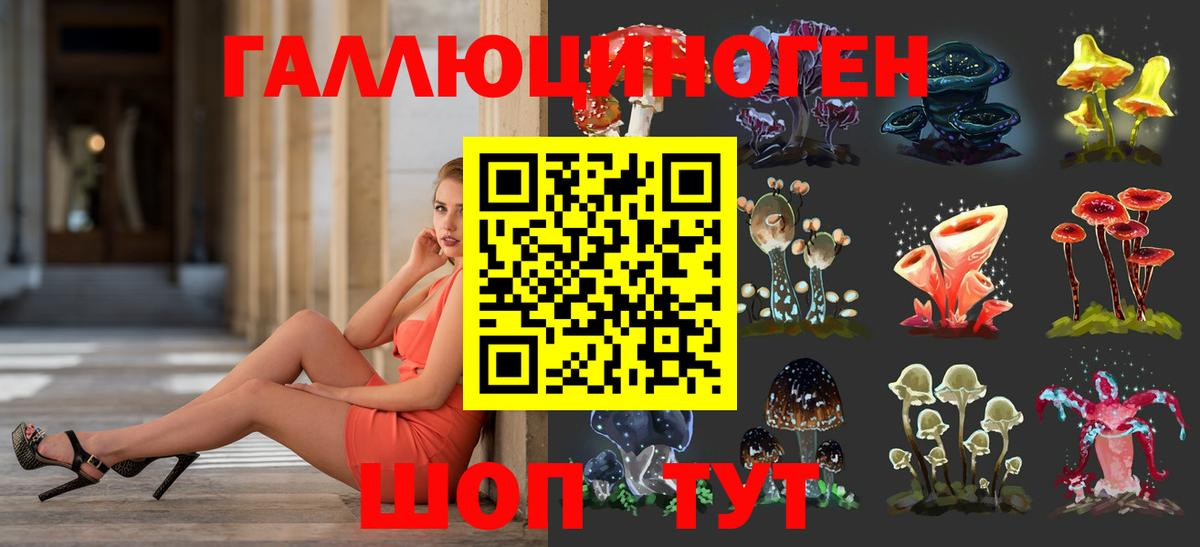 Псилоцибиновые грибы мицелий Геленджик