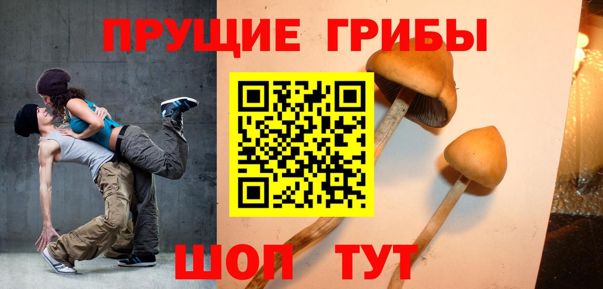 Галлюциногенные грибы прущие грибы  Псилоцибиновые грибы мицелий  Вход с VPN  Геленджик 